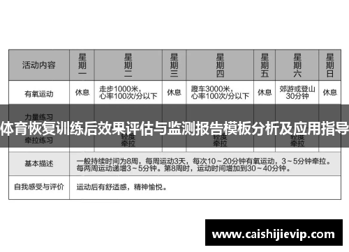 体育恢复训练后效果评估与监测报告模板分析及应用指导