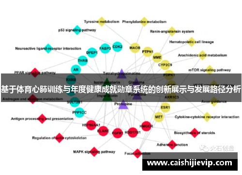 基于体育心肺训练与年度健康成就勋章系统的创新展示与发展路径分析