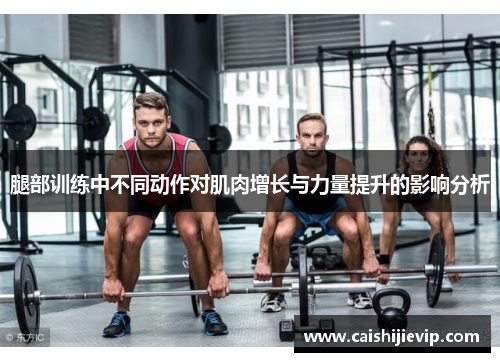 腿部训练中不同动作对肌肉增长与力量提升的影响分析